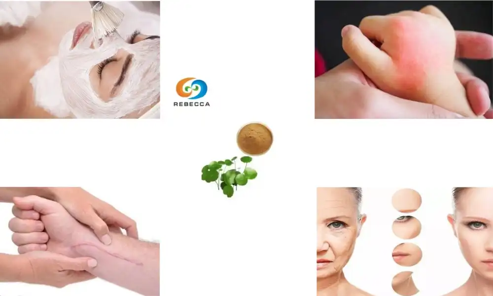 Is centella asiatica extract powder safe for skin?
